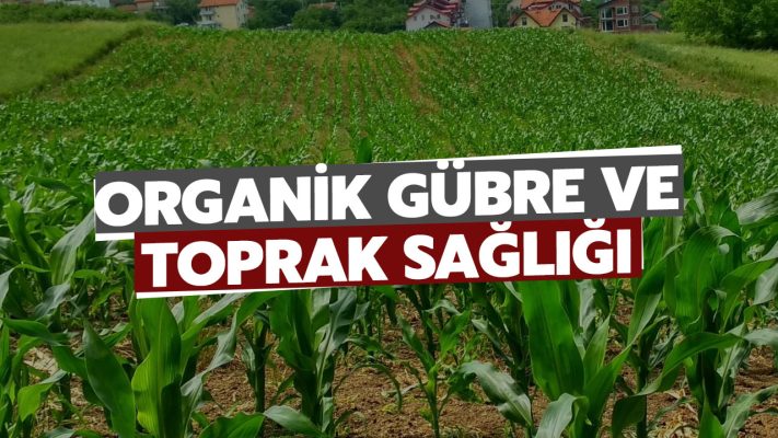 Organik Gübre ve Toprak Sağlığı