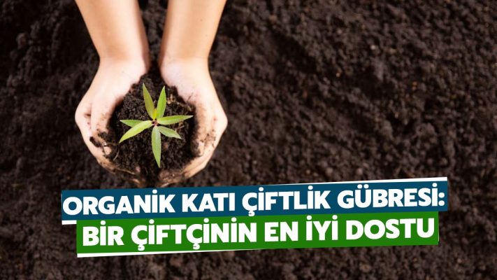 Organik katı çiftlik gübresi