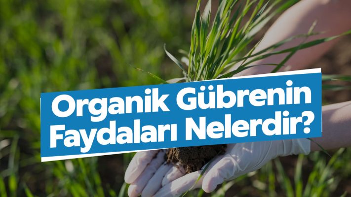 Organik Gübrenin Faydaları